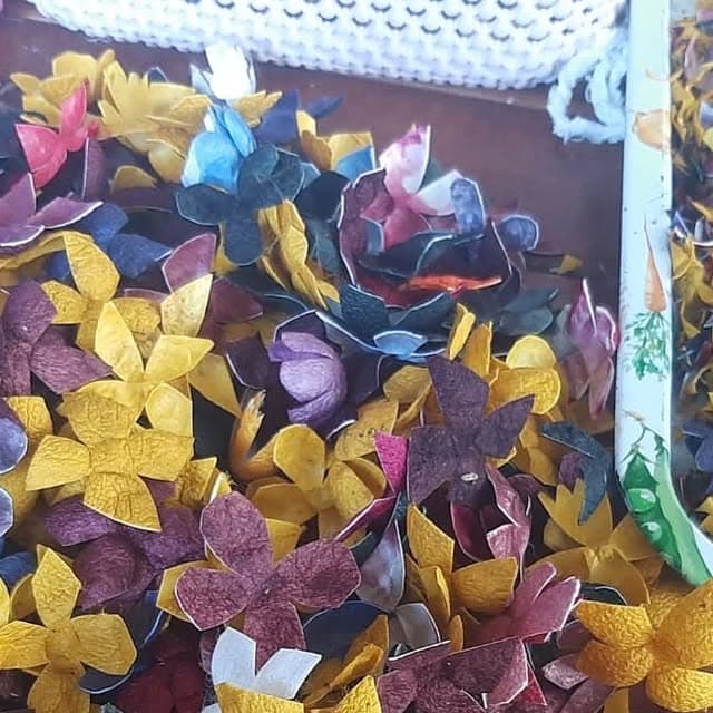 Kozalar temizlendi, boyandı — küpeler ve kolyeler için